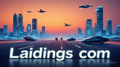 Laidings com