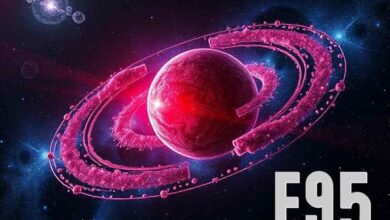 f95